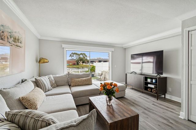 13747 JUNIPER BLOSSOM DRIVE, Tampa, FL 33618