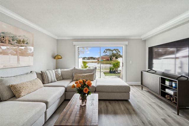 13747 JUNIPER BLOSSOM DRIVE, Tampa, FL 33618