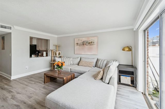 13747 JUNIPER BLOSSOM DRIVE, Tampa, FL 33618