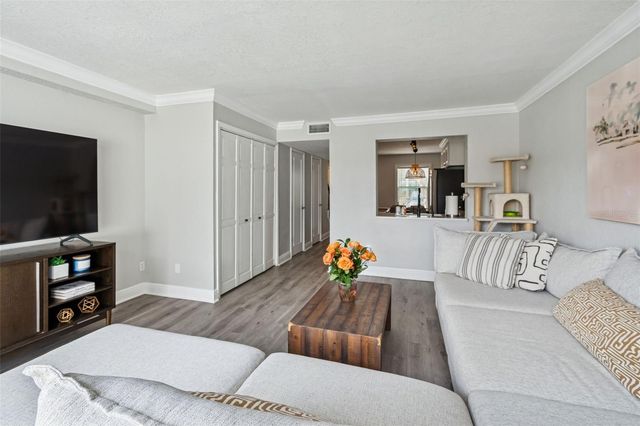 13747 JUNIPER BLOSSOM DRIVE, Tampa, FL 33618