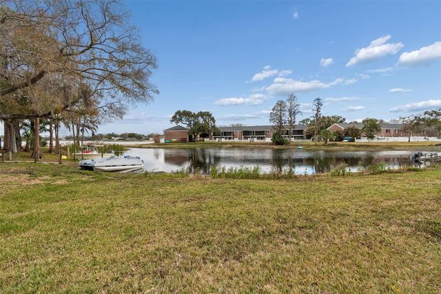 13747 JUNIPER BLOSSOM DRIVE, Tampa, FL 33618