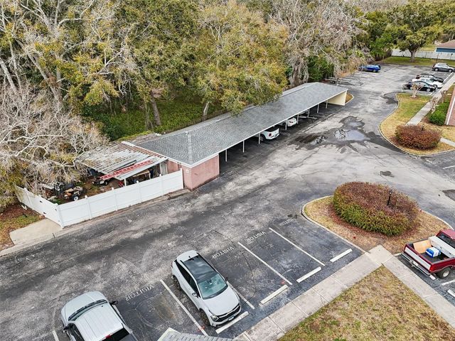 13747 JUNIPER BLOSSOM DRIVE, Tampa, FL 33618