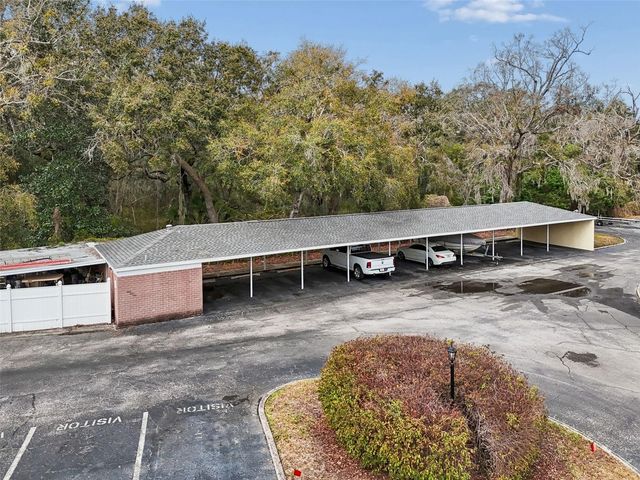 13747 JUNIPER BLOSSOM DRIVE, Tampa, FL 33618