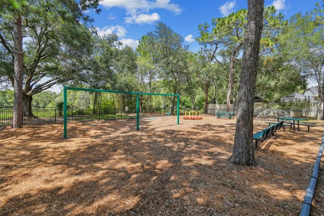 13747 JUNIPER BLOSSOM DRIVE, Tampa, FL 33618