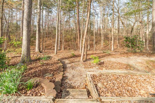 2 Quieto Place, Hot Springs Village, AR 71909