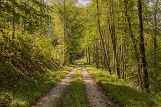 251 Everett Byrd Road, Booneville, KY 41314