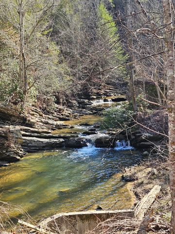 LT 1620 Nexus Drive, Ellijay, GA 30540