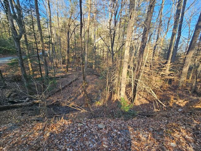 LT 1620 Nexus Drive, Ellijay, GA 30540