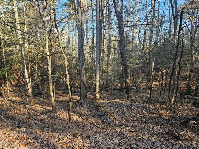 LT 1620 Nexus Drive, Ellijay, GA 30540