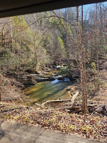 LT 1620 Nexus Drive, Ellijay, GA 30540