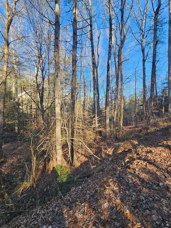 LT 1620 Nexus Drive, Ellijay, GA 30540