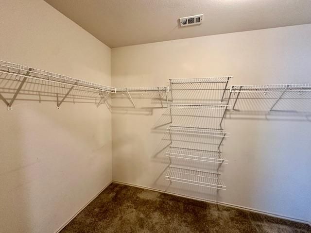 15013 Sassafras TRL, Pflugerville, TX 78660