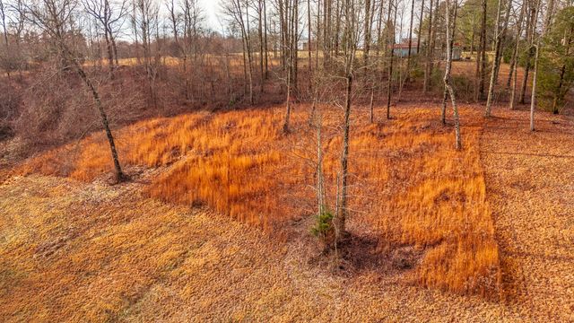 15 Raccoon Rd, Westmoreland, TN 37186