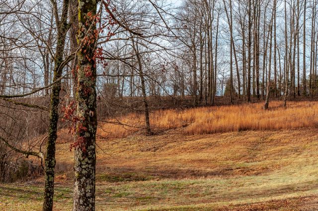 15 Raccoon Rd, Westmoreland, TN 37186