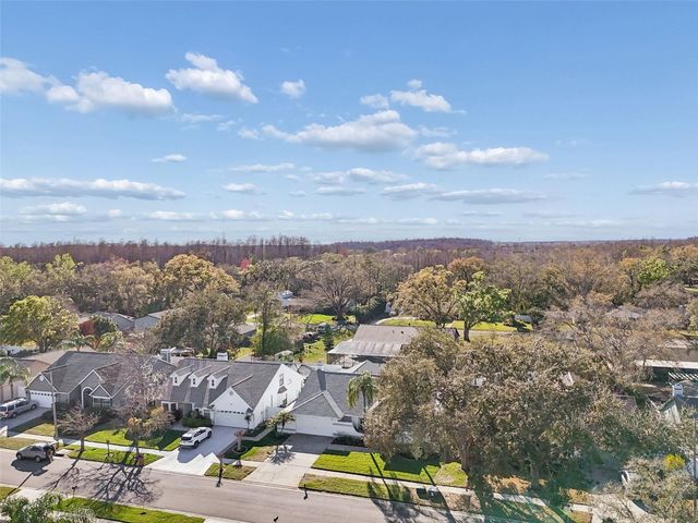 15830 GLENARN DRIVE, Tampa, FL 33618