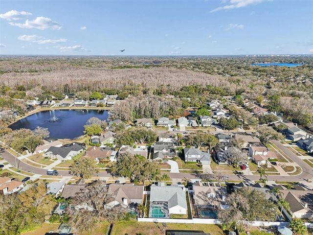 15830 GLENARN DRIVE, Tampa, FL 33618