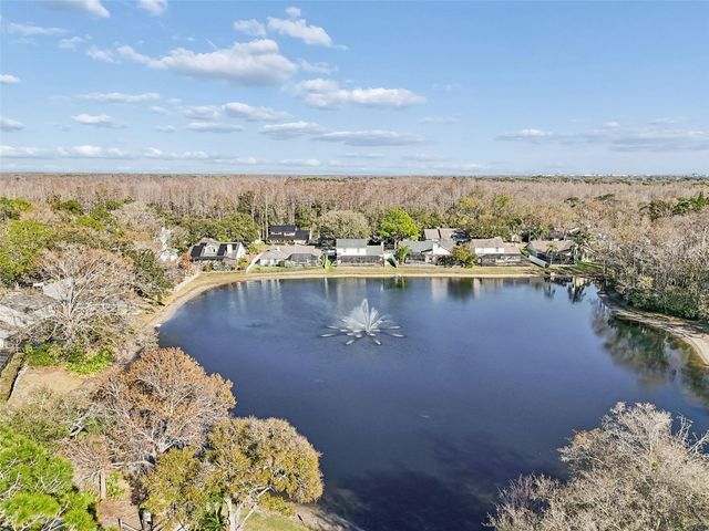 15830 GLENARN DRIVE, Tampa, FL 33618