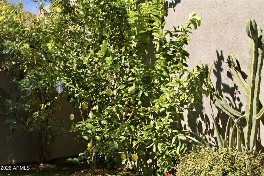 Image 34 of property listing at 39229 N 100th Place, Scottsdale, AZ 85262