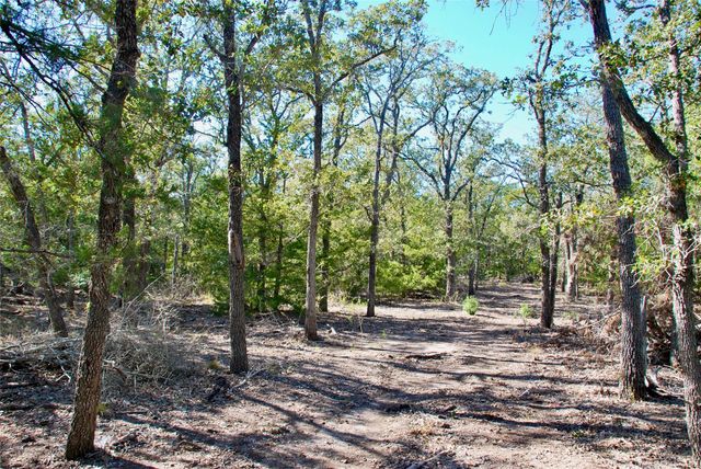 1727 Davis Road, Muldoon, TX 78949