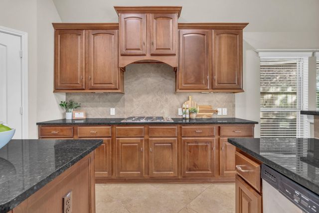 119 Colina Vista Way, Montgomery, TX 77316