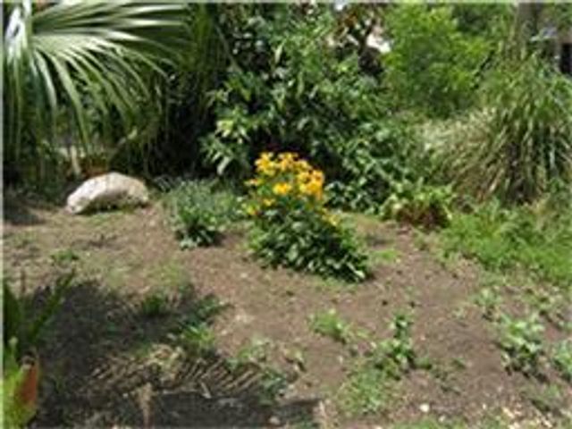 1959 Lexington Street, Houston, TX 77098