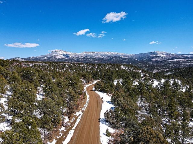 33103 Little Bear Dr, Trinidad, CO 81082