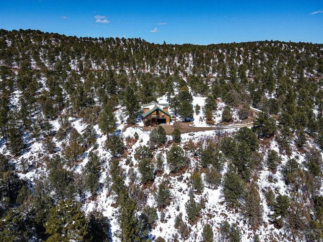 33103 Little Bear Dr, Trinidad, CO 81082