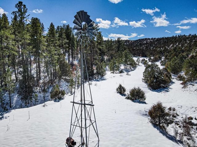 33103 Little Bear Dr, Trinidad, CO 81082