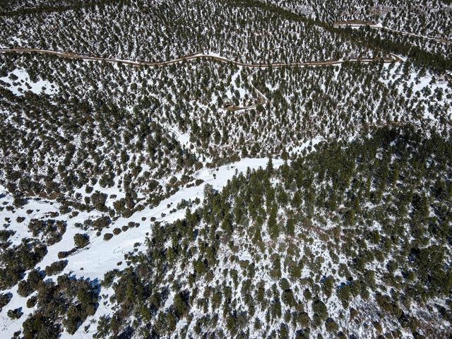 33103 Little Bear Dr, Trinidad, CO 81082