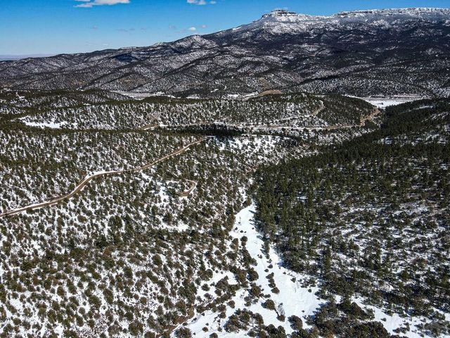 33103 Little Bear Dr, Trinidad, CO 81082