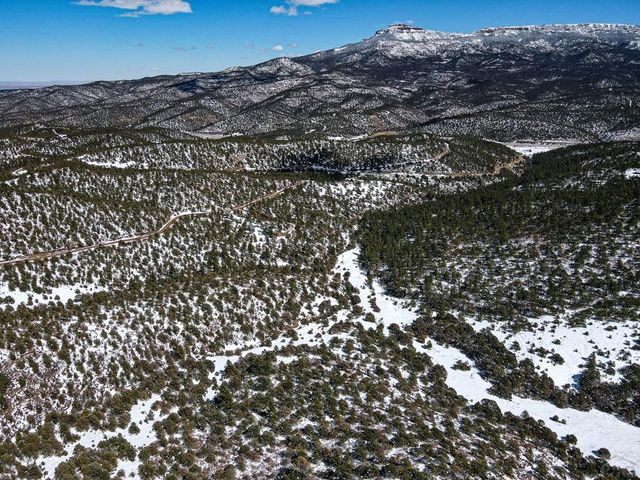 33103 Little Bear Dr, Trinidad, CO 81082