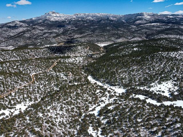 33103 Little Bear Dr, Trinidad, CO 81082