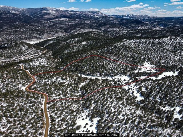 33103 Little Bear Dr, Trinidad, CO 81082