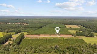 LOT B6 Black Creek Rd., Nichols, SC 29581
