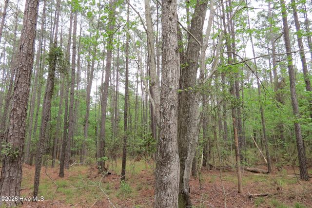 336 Mills Road, Oriental, NC 28571