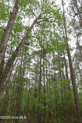 336 Mills Road, Oriental, NC 28571