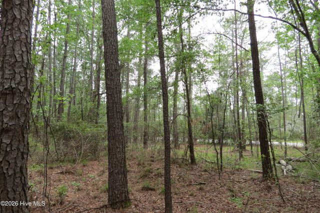 336 Mills Road, Oriental, NC 28571