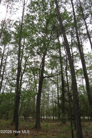 336 Mills Road, Oriental, NC 28571