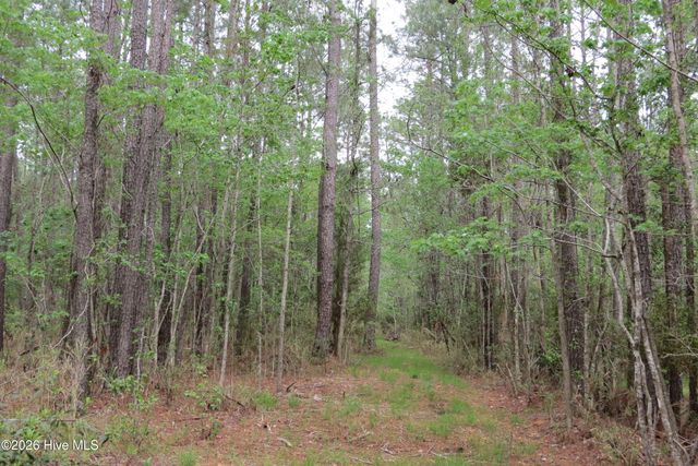 336 Mills Road, Oriental, NC 28571