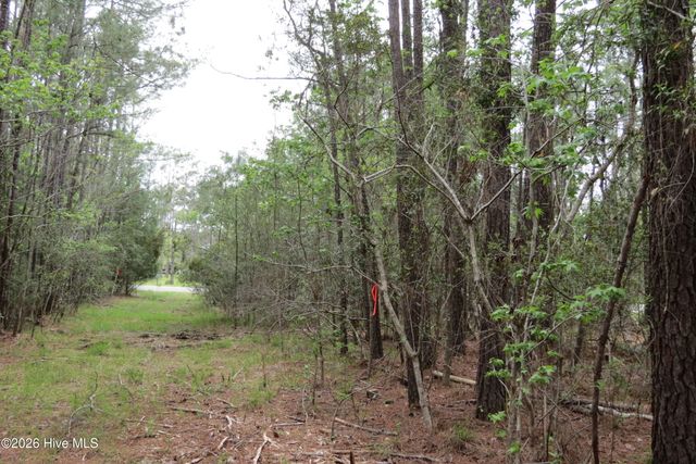 336 Mills Road, Oriental, NC 28571