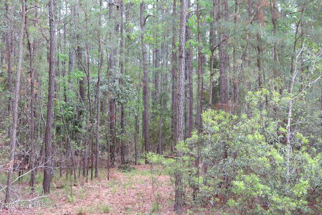 336 Mills Road, Oriental, NC 28571