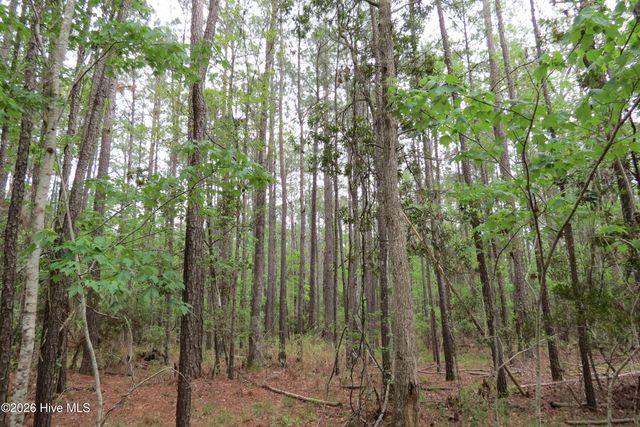 336 Mills Road, Oriental, NC 28571