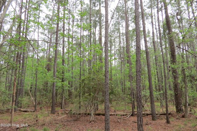 336 Mills Road, Oriental, NC 28571