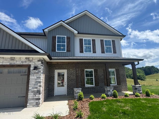541 Larkins Farm Drive, Jonesborough, TN 37659