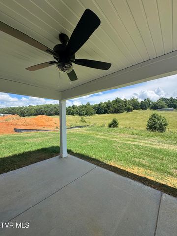 541 Larkins Farm Drive, Jonesborough, TN 37659