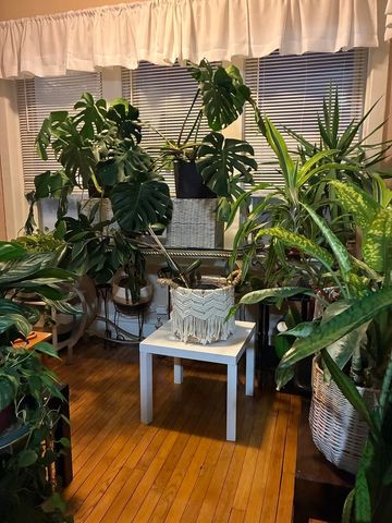 340 S Homan Street, Chicago, IL 60624