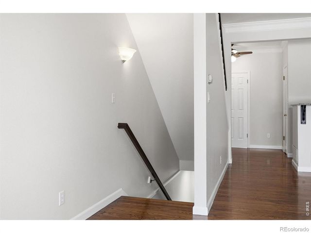 944 Ivanhoe Street, Denver, CO 80220