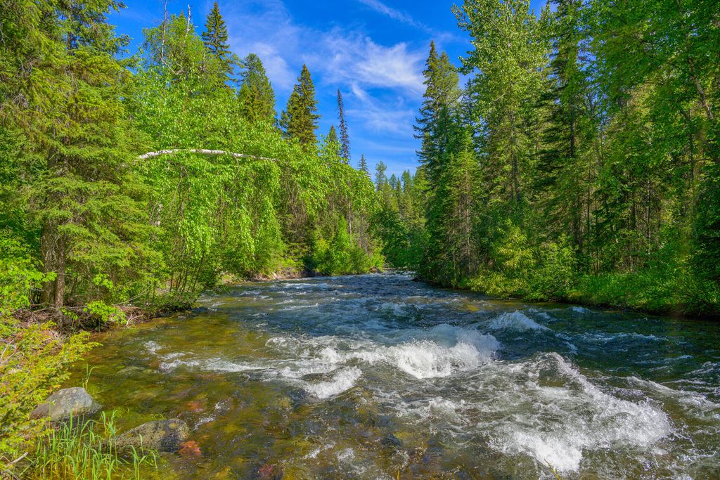 1355 Lindbergh Lake Road, Condon, MT 59826 photo 14