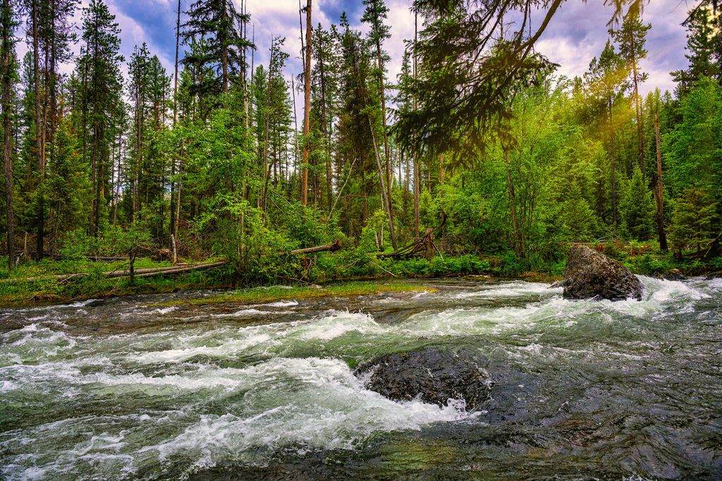 1355 Lindbergh Lake Road, Condon, MT 59826 photo 18