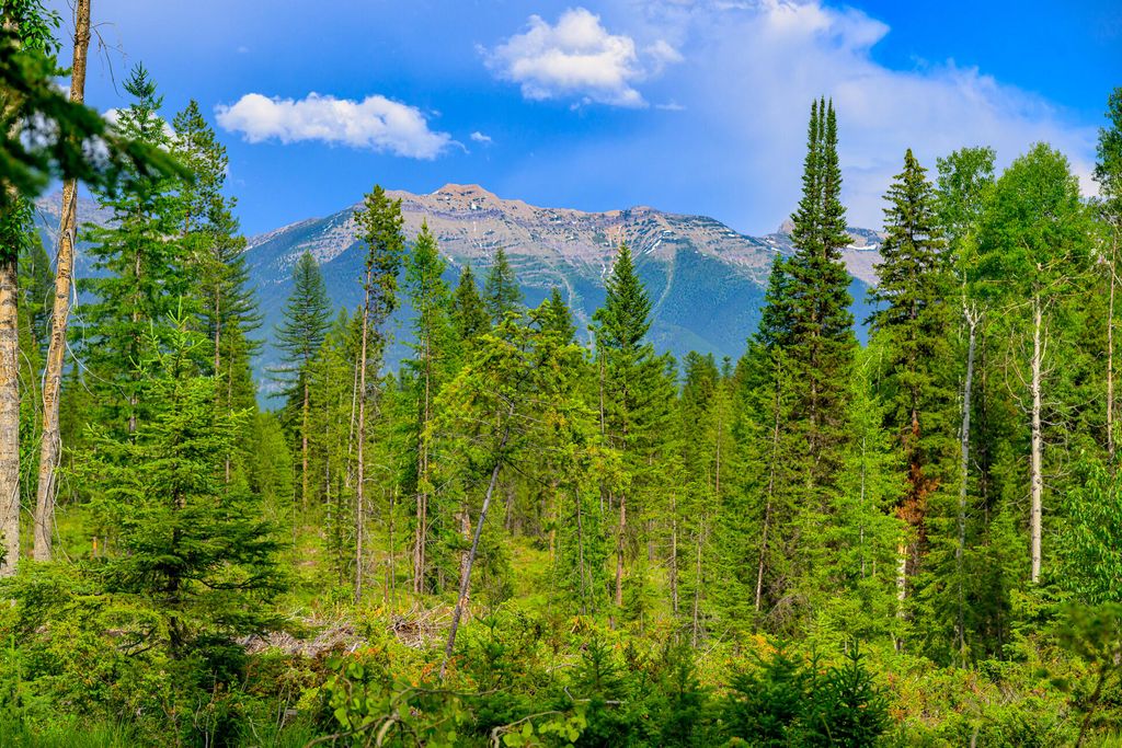 1355 Lindbergh Lake Road, Condon, MT 59826 photo 21